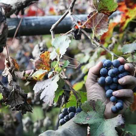 Melina's House Prázdninový dům *