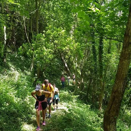 Prázdninový dům Melina's House *