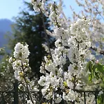 度假居 Melina's House